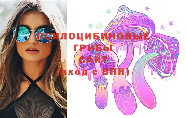 дживик Вяземский
