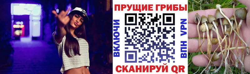 Псилоцибиновые грибы ЛСД  Купить  Медынь 
